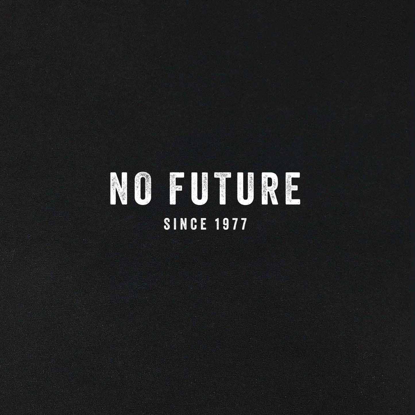NO FUTURE (Since 1977)