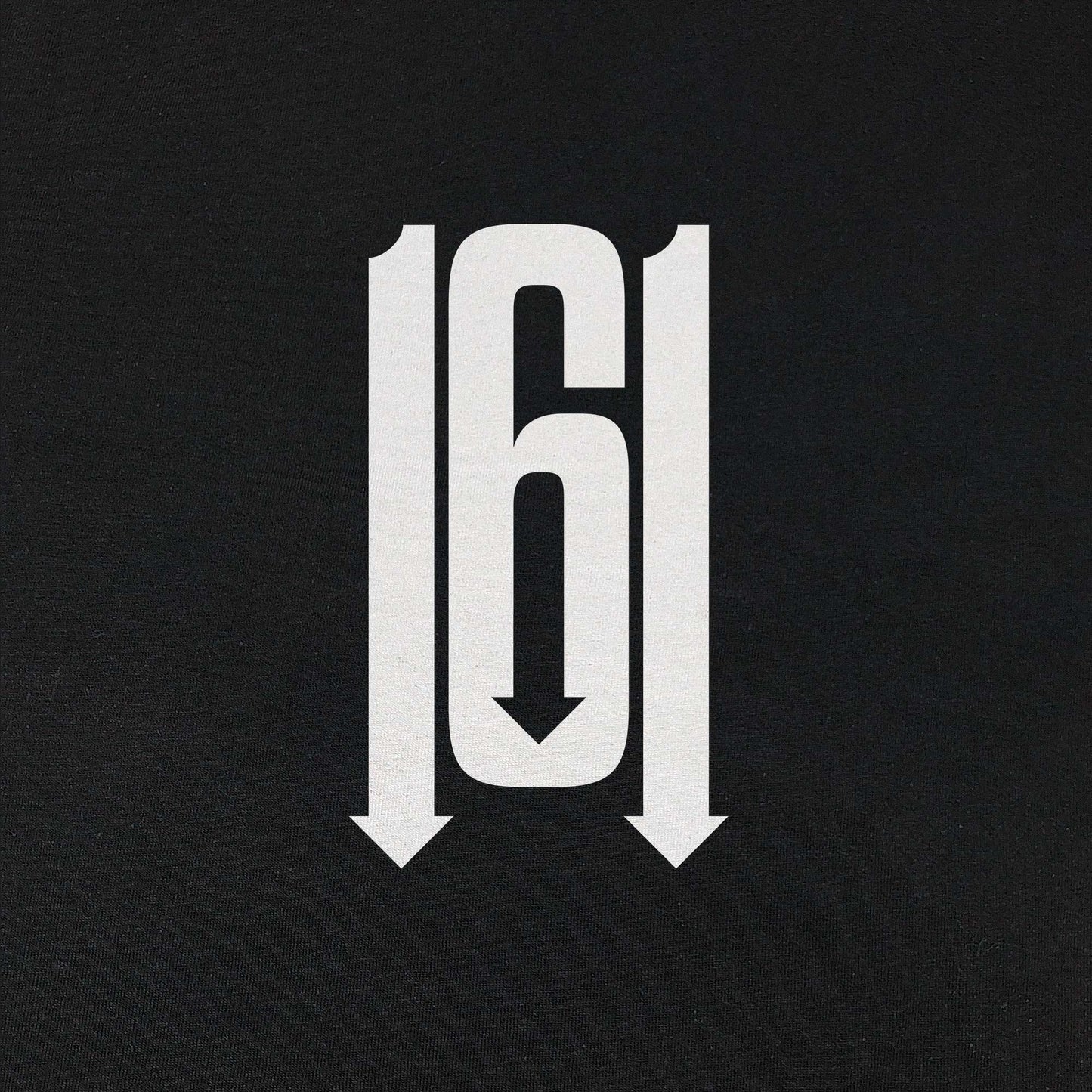 161 Logo close up